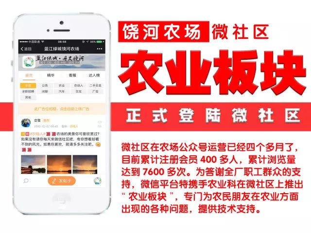 班級走廊文化墻設計_公司走廊文化設計_班級走廊文化墻壁布置